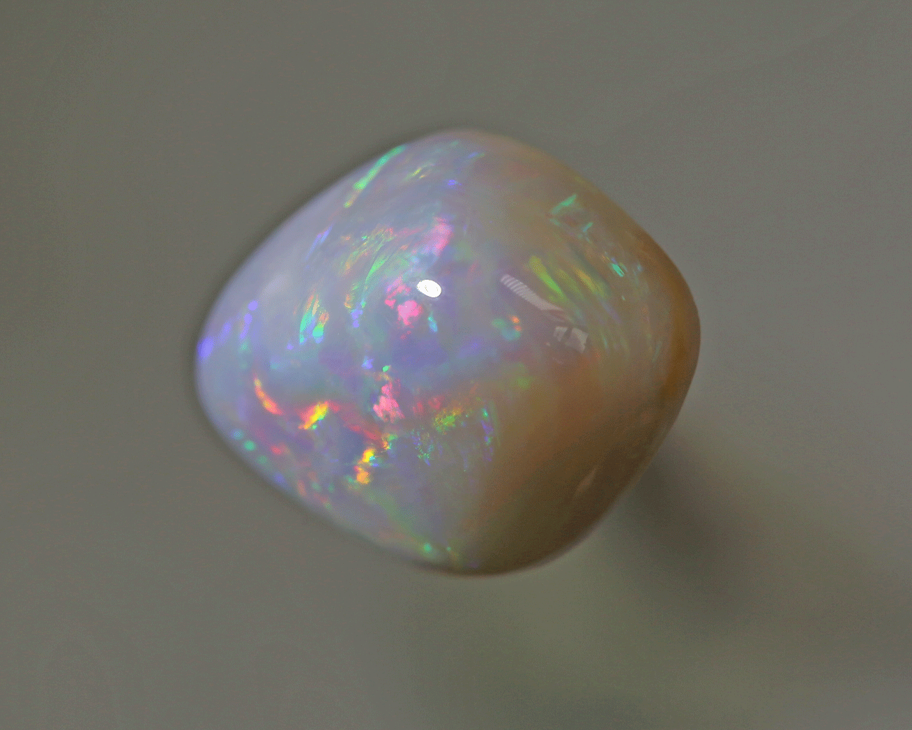 Fossil opal in freeform