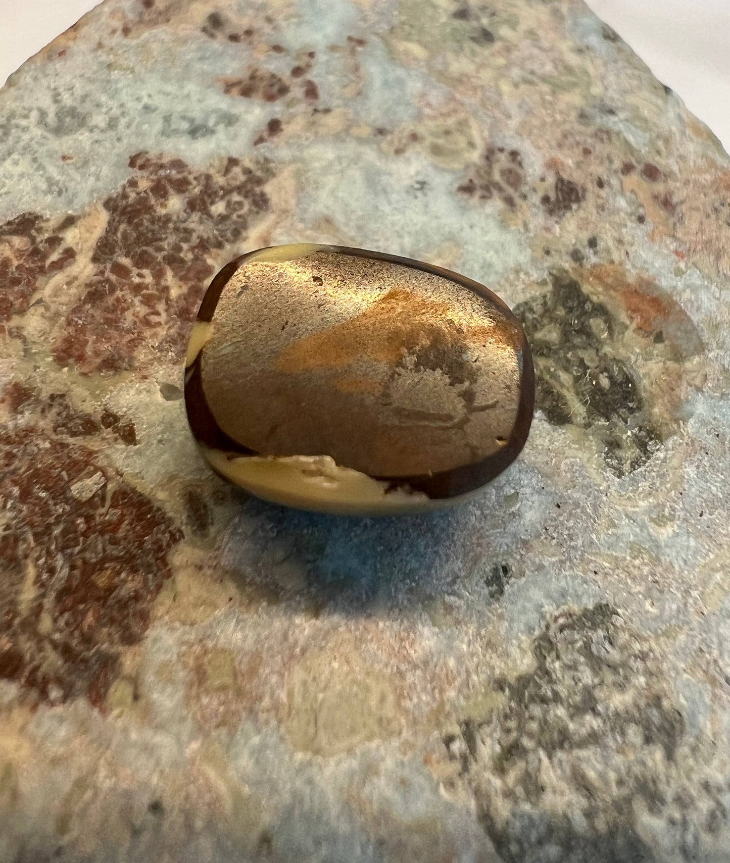 4.1 carats Boulder Opal - Wood Replacement