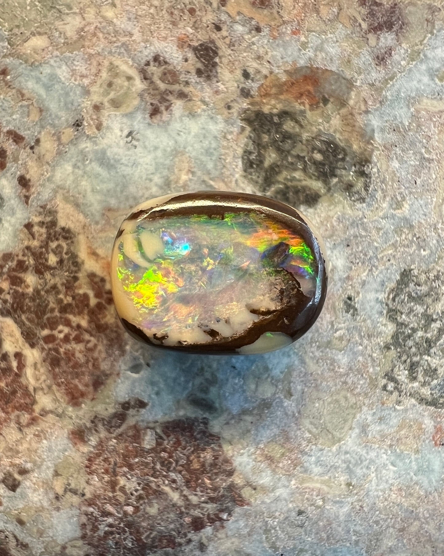 4.1 carats Boulder Opal - Wood Replacement