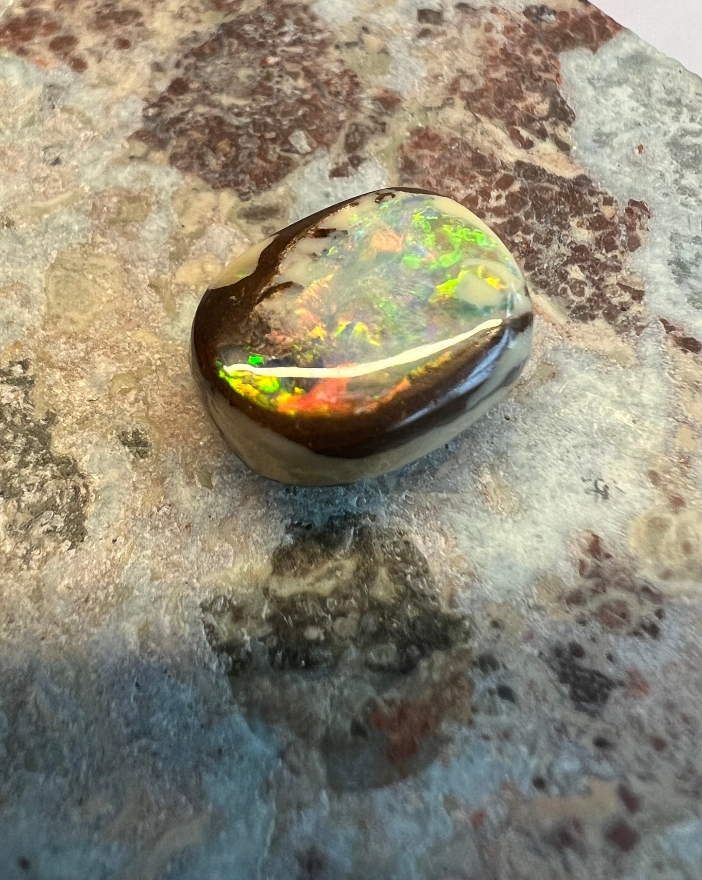 4.1 carats Boulder Opal - Wood Replacement