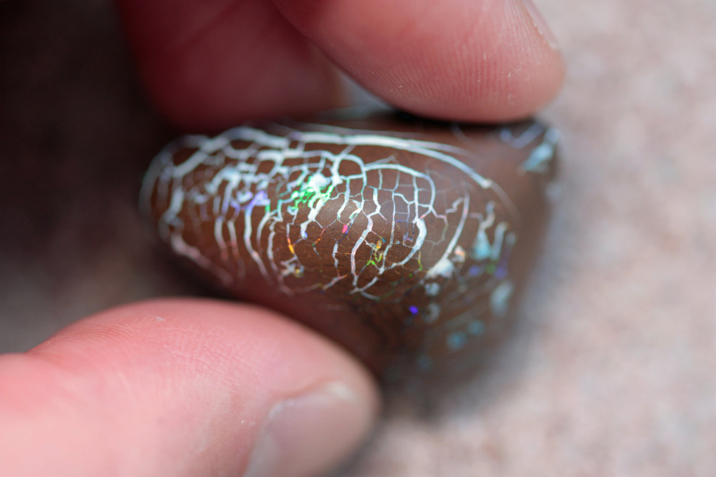 62 carats matrix boulder opal