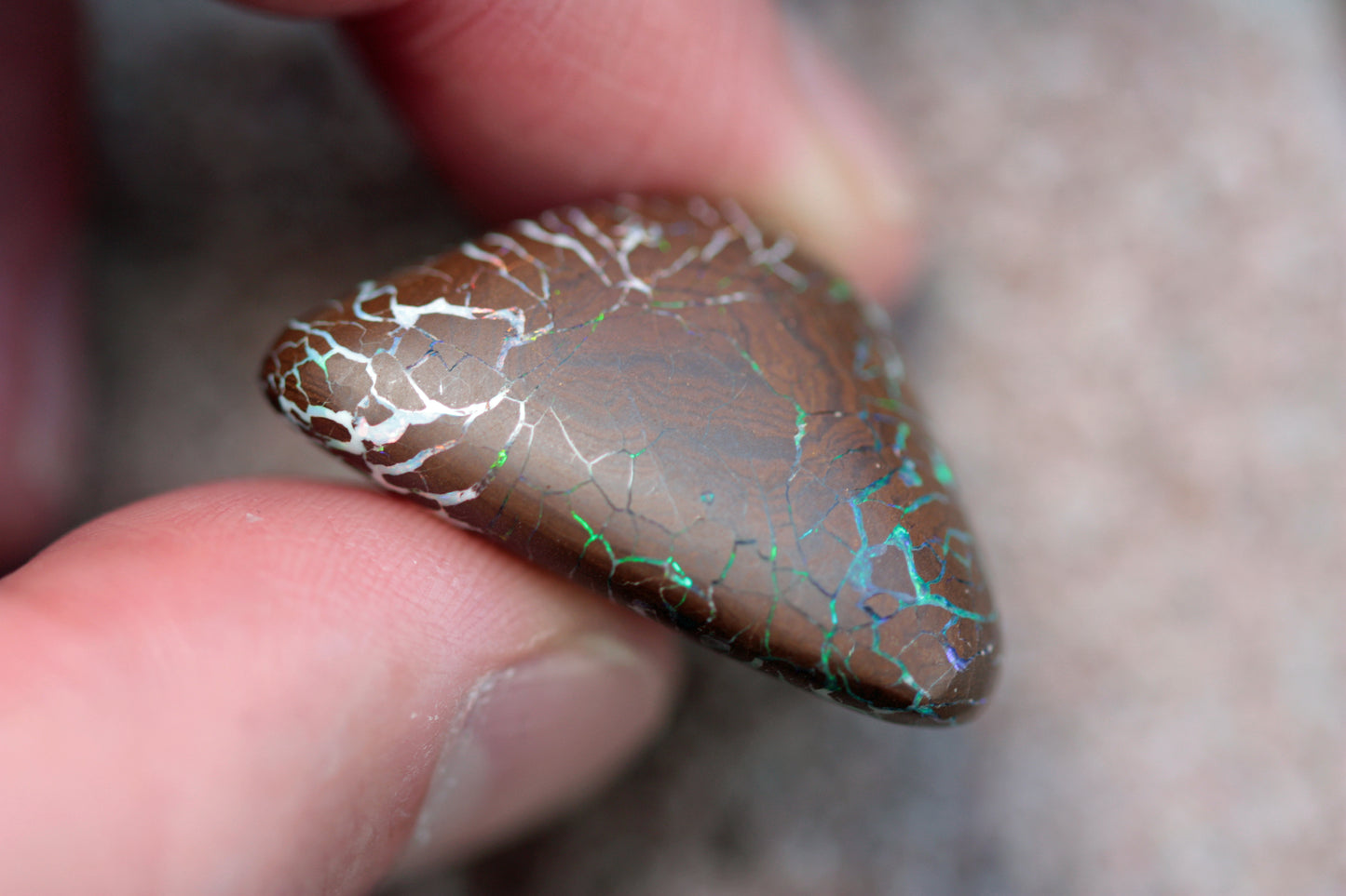 62 carats matrix boulder opal