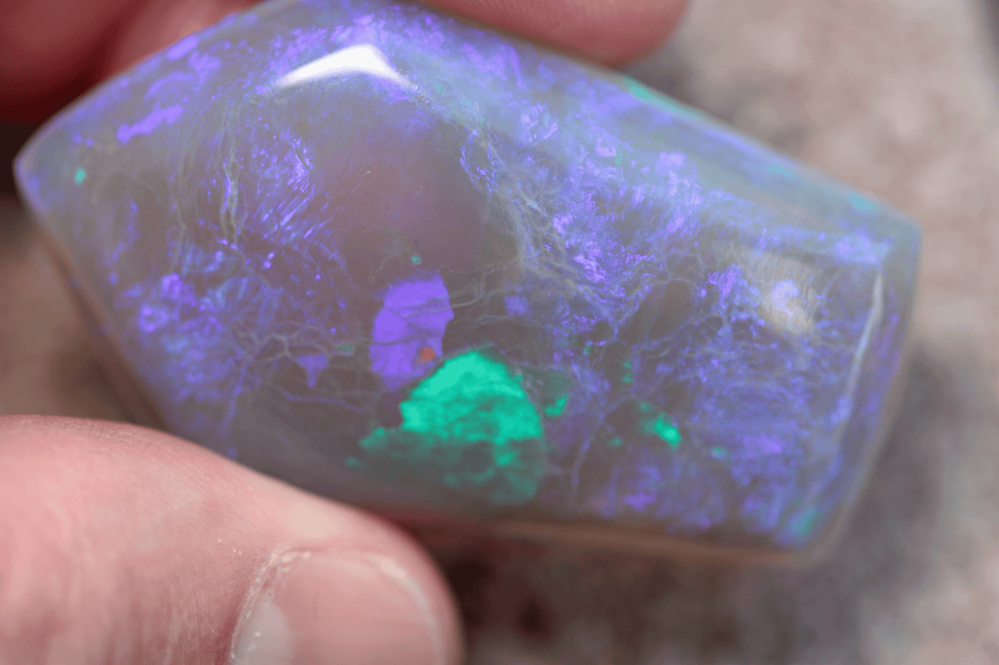 Trapezoid shaped Lightning Ridge Opal