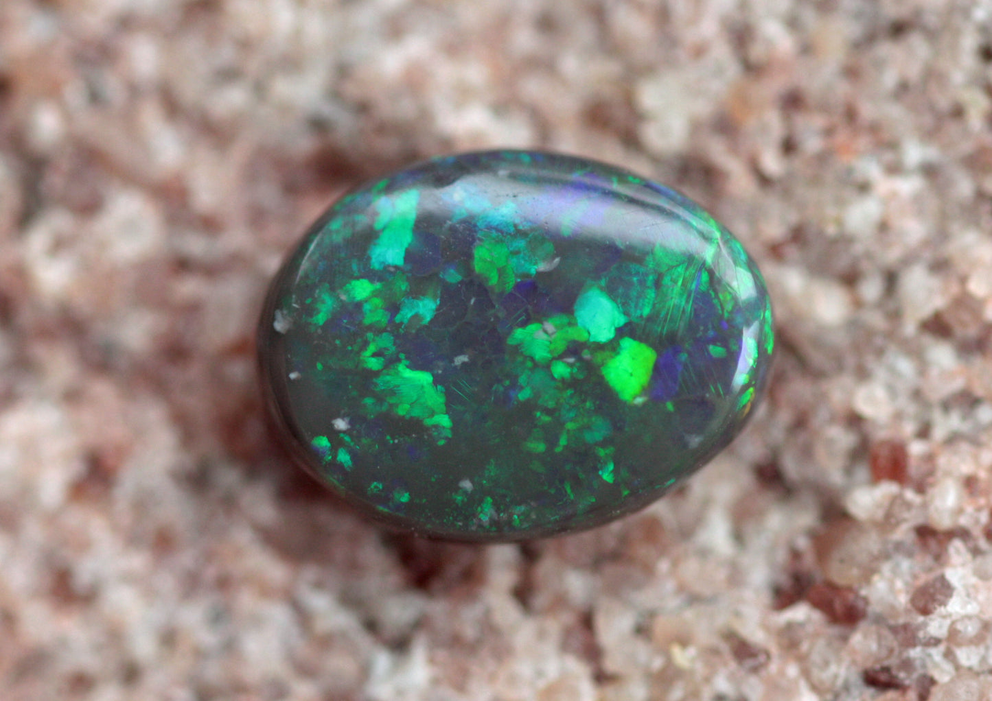 Floral Pattern Black Opal from Lightning Ridge