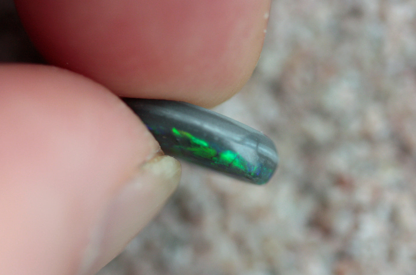 Floral Pattern Black Opal from Lightning Ridge