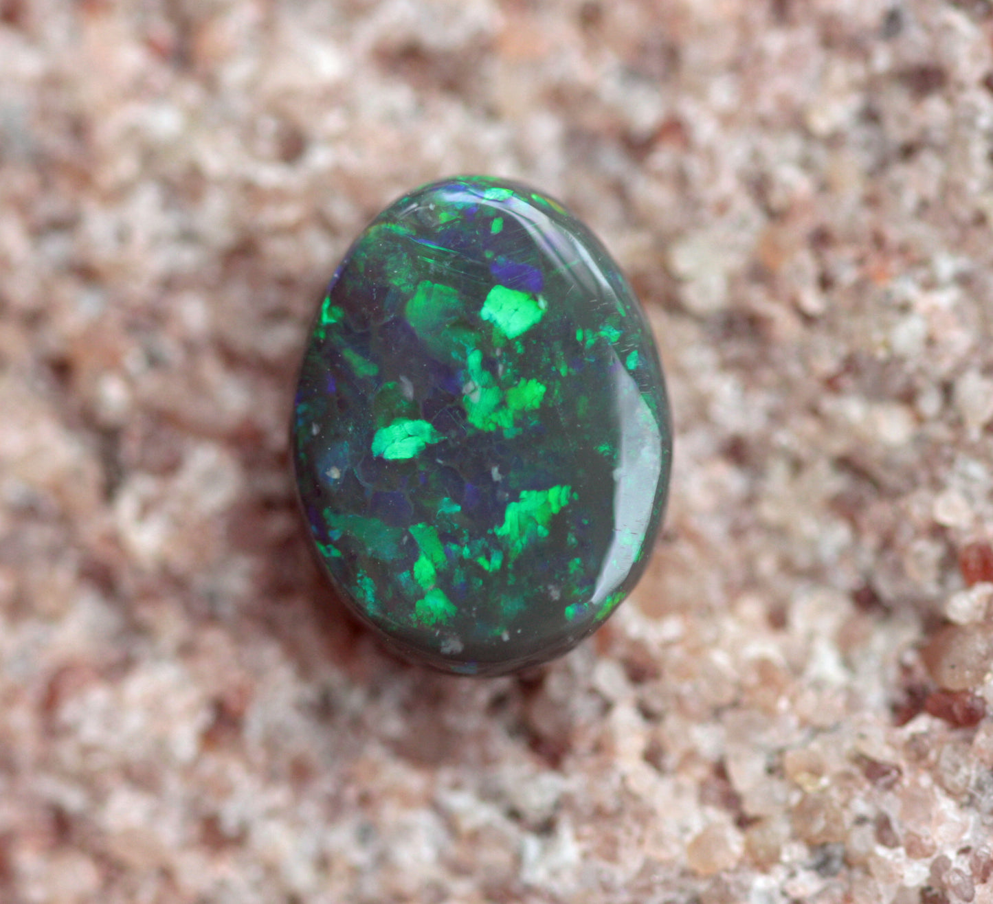 Floral Pattern Black Opal from Lightning Ridge