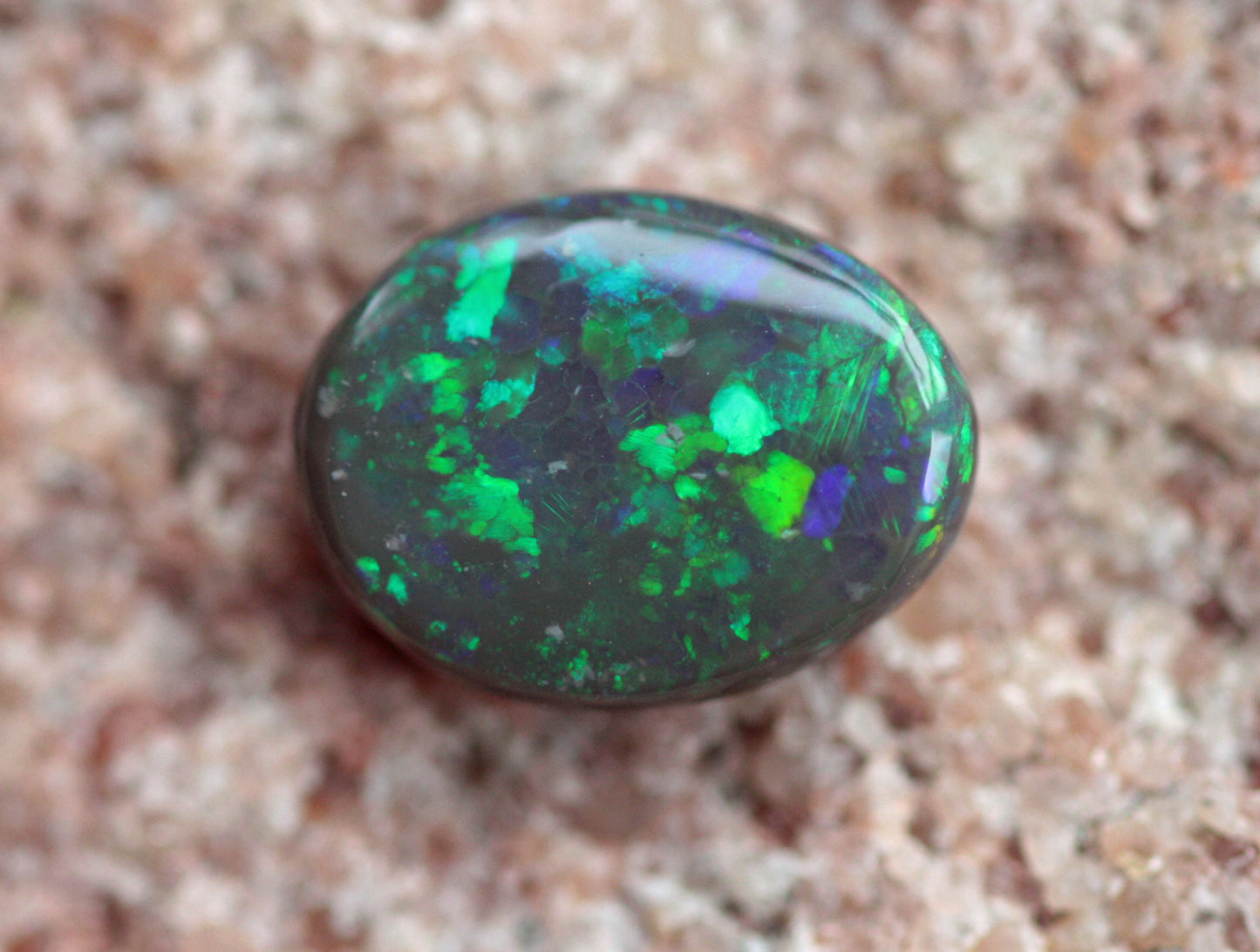 Floral Pattern Black Opal from Lightning Ridge